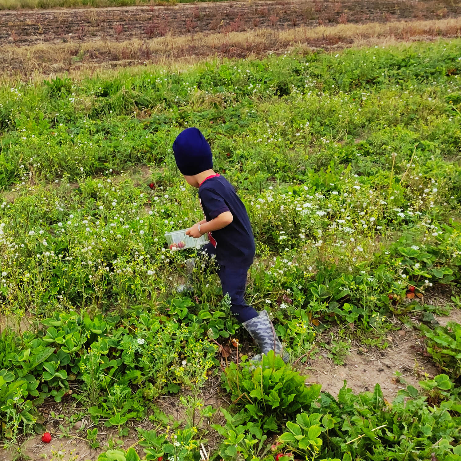 Small Farming